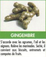 Gingembre (01)